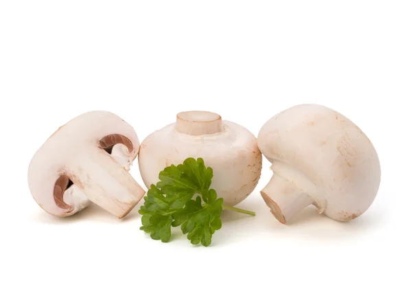 Champignon mushroom and fresh parsley — Stock Photo, Image