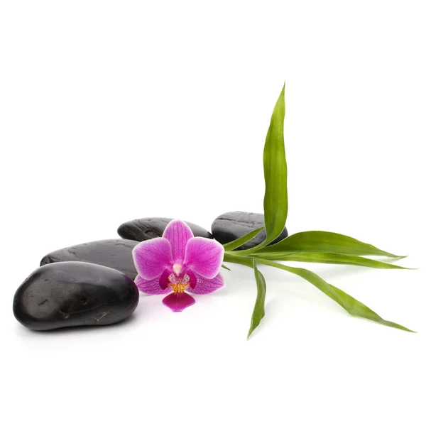 stock image Zen pebbles path. Spa and healthcare concept.