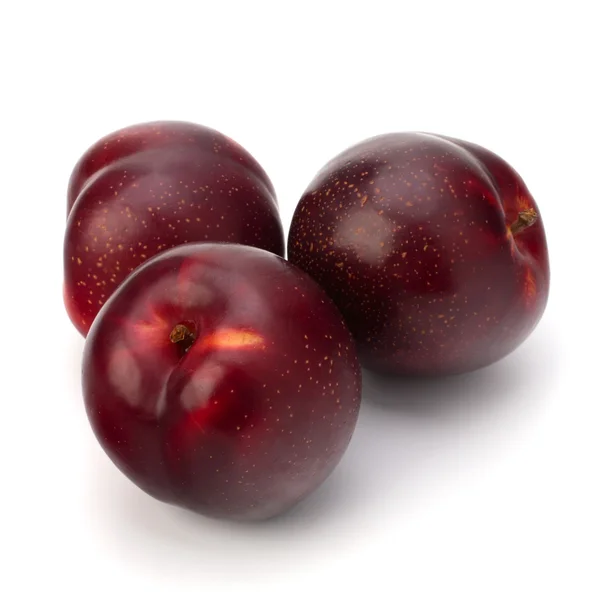 Red plum fruit — Stock Photo, Image