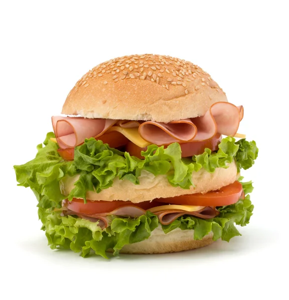 stock image Junk food hamburger