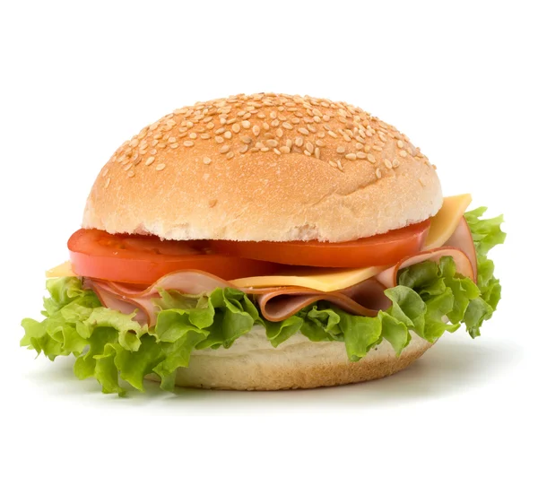 stock image Junk food hamburger