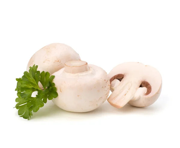 Cogumelo Champignon e salsa fresca — Fotografia de Stock