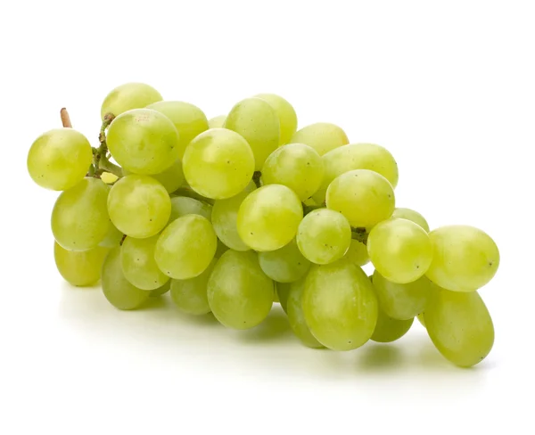 Mazzo perfetto di uva bianca — Foto Stock