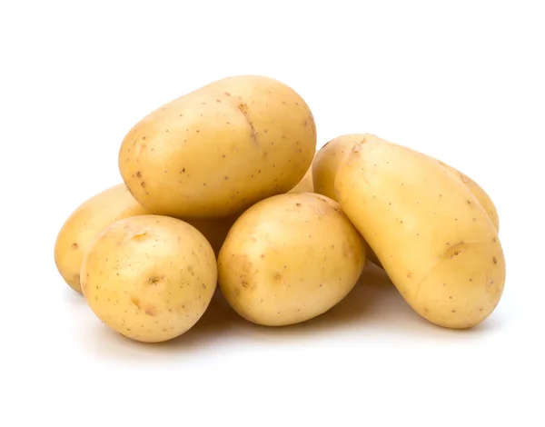 Neue Kartoffel — Stockfoto