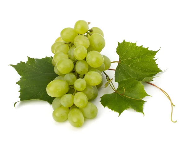 stock image Ripe grape whith leaf