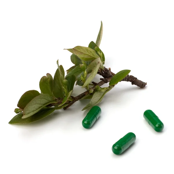 Leki ziołowe izolowane na białym tle — Zdjęcie stockowe
