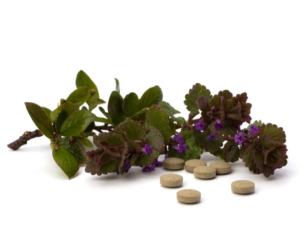 Medicina a base di erbe isolato su sfondo bianco — Foto Stock