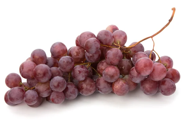 stock image Red grape