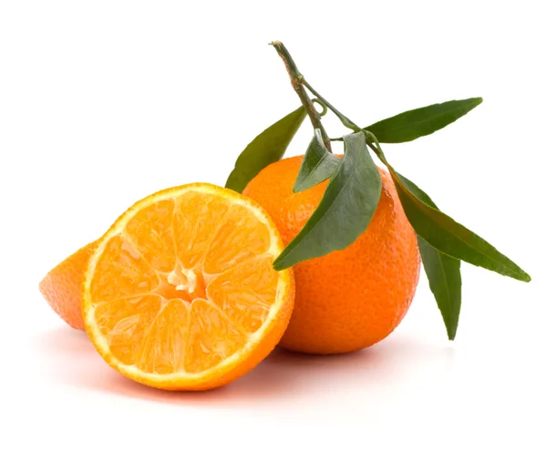 Tangerine — Stok Foto