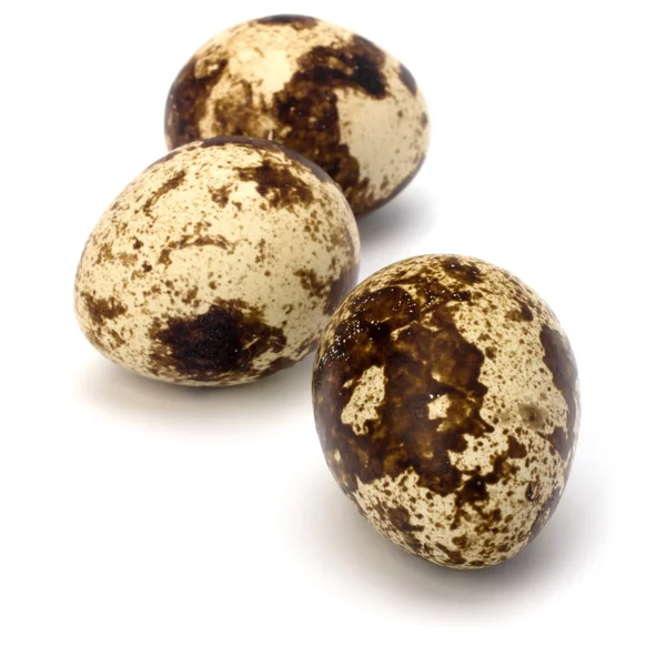 stock image Quail eggs