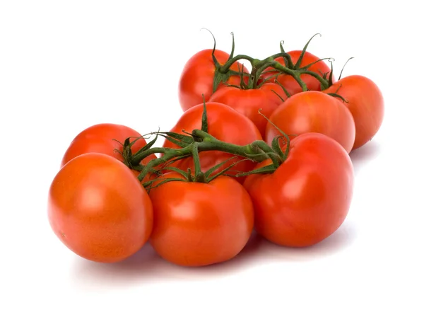 Červené rajče izolovaných na bílém pozadí — Stock fotografie