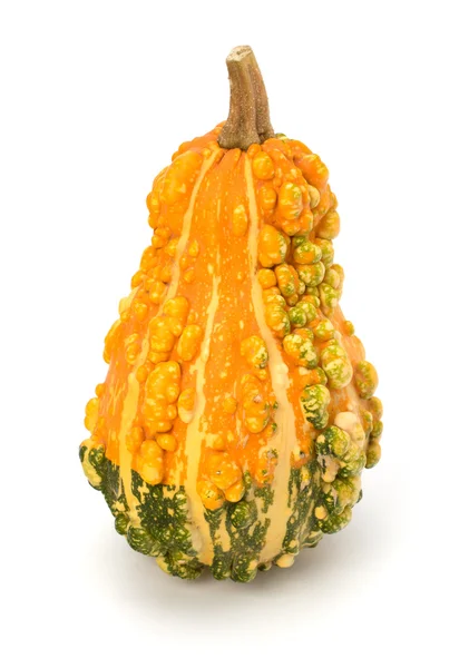 stock image Decorative pumpkin