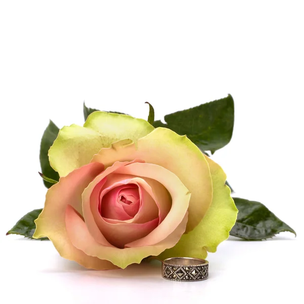 Όμορφο τριαντάφυλλο με το γαμήλιο δαχτυλίδι που απομονώνονται σε λευκό φόντο — Φωτογραφία Αρχείου
