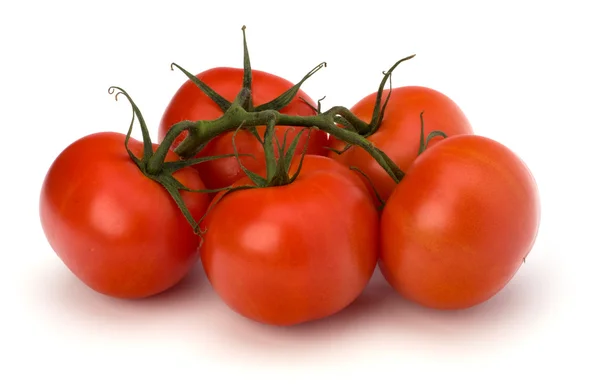 Červené rajče izolovaných na bílém pozadí — Stock fotografie