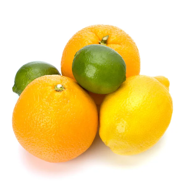 stock image Citrus fruits