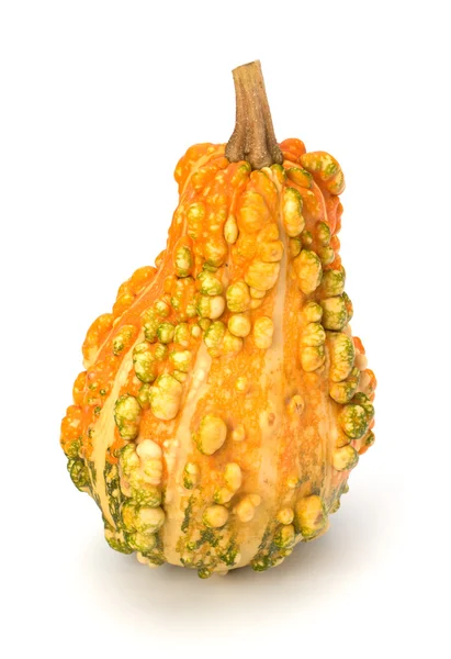 stock image Decorative pumpkin