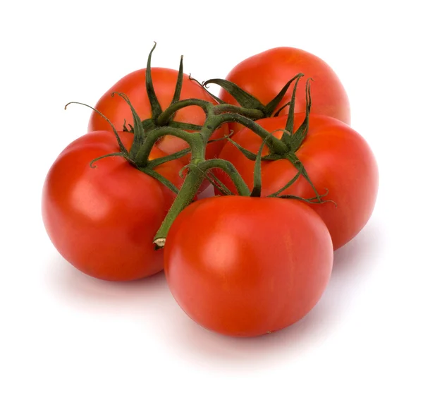 Red tomato isolated on the white background — Stock Photo, Image