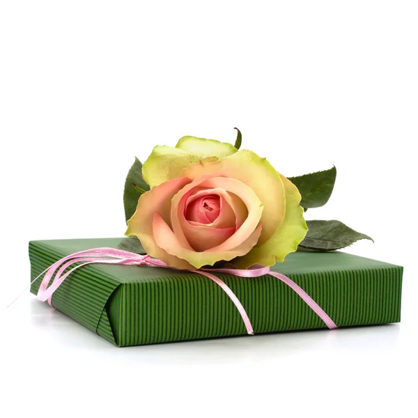 Trandafir frumos cu cadou izolat pe fundal alb — Fotografie, imagine de stoc