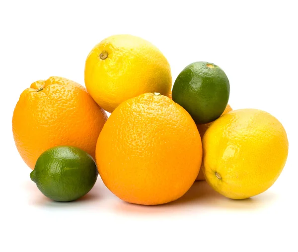 stock image Citrus fruits