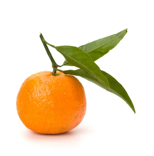 Mandarino i — Foto Stock