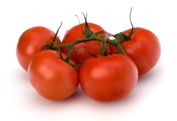 在白色背景上孤立的红番茄 — 图库照片