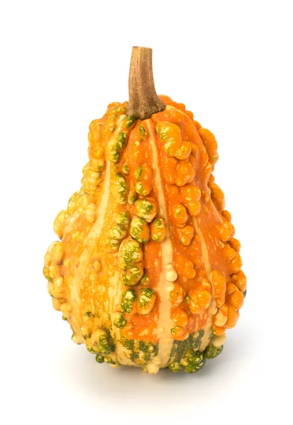 stock image Decorative pumpkin