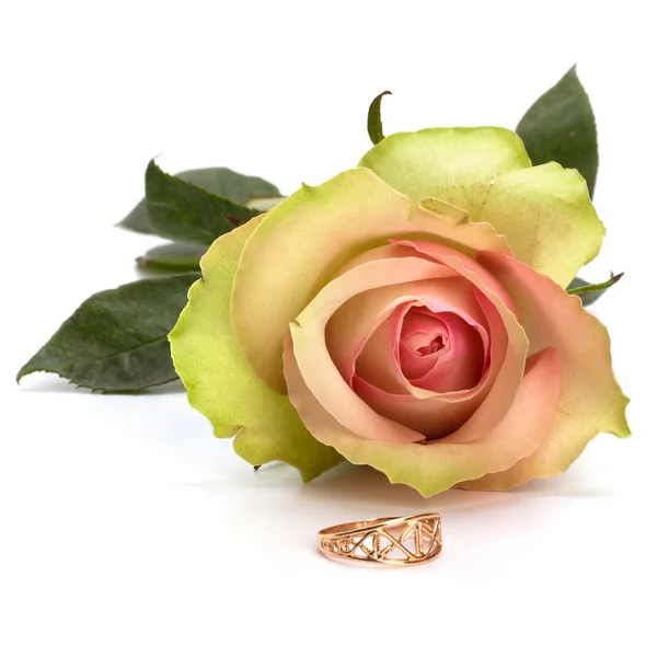 美丽的玫瑰与孤立在白色背景上的结婚戒指 — 图库照片