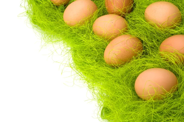 stock image Eggs border