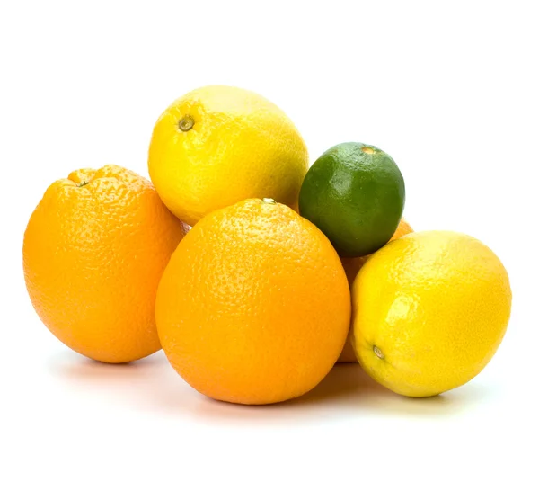 Stock image Citrus fruits