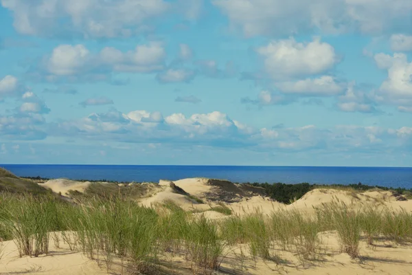 バルチック海砂の美しいビーチ — ストック写真