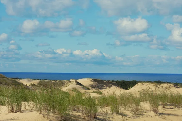 stock image Beautiful Baltic Sea sand beach