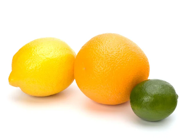 stock image Citrus fruits