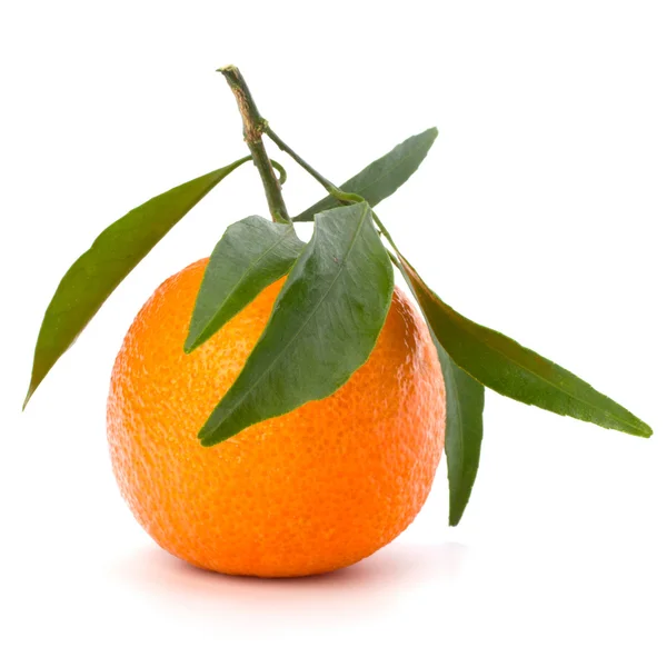 Tangerine i — Stock Photo, Image
