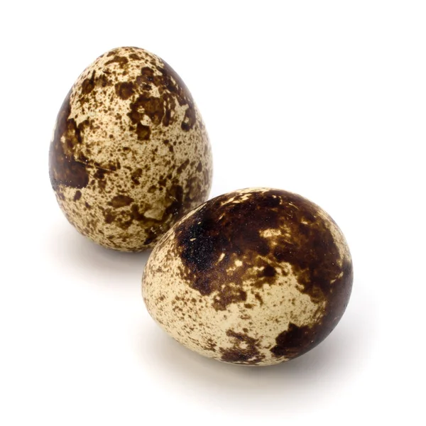 stock image Quail eggs