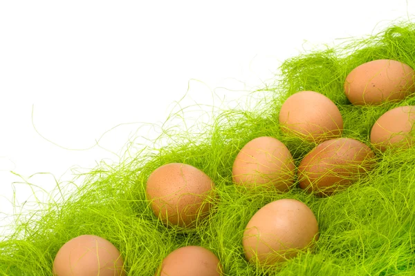 stock image Eggs border