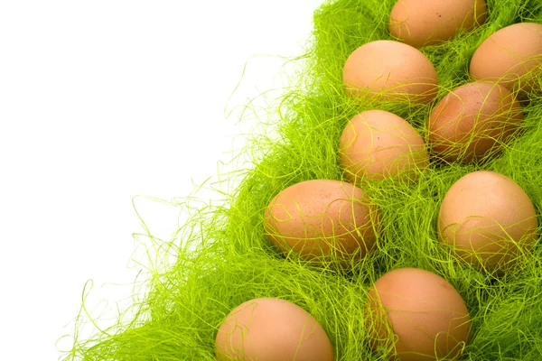 stock image Eggs border