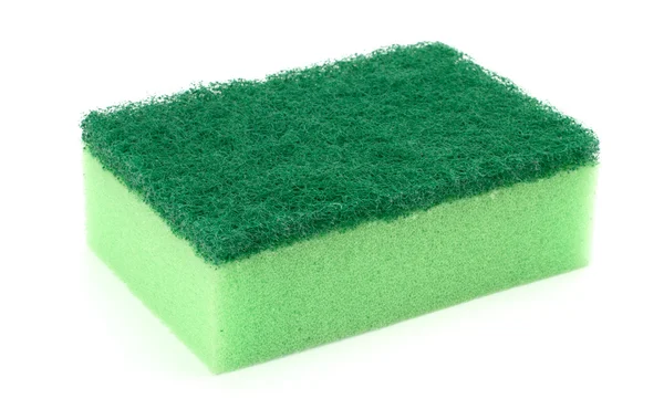 stock image Sponge