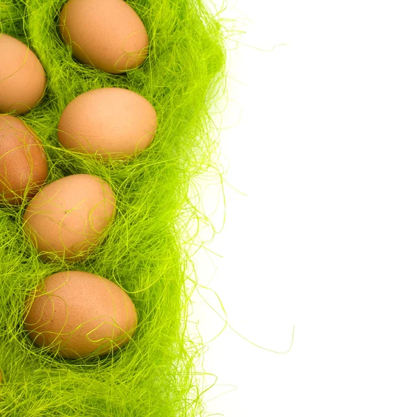 stock image Eggs border