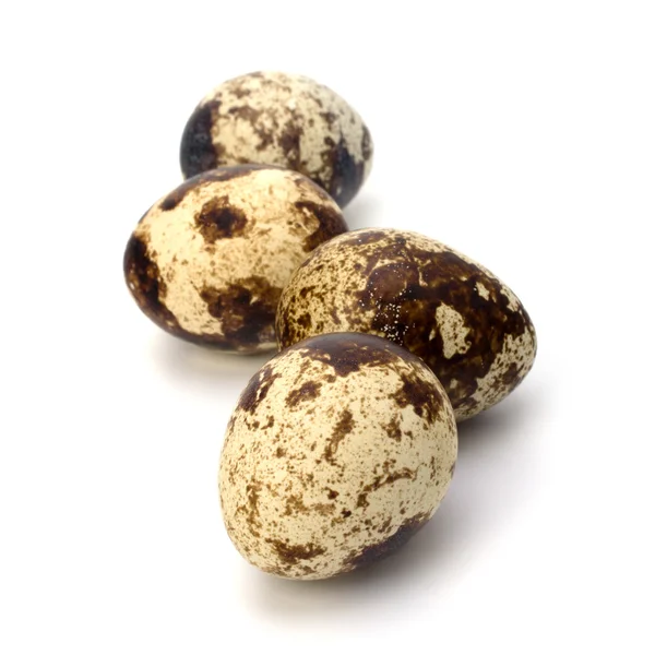 Stock image Quail eggs