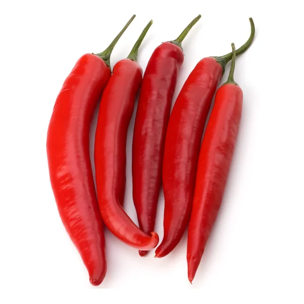 stock image Chili pepper isolated on white background