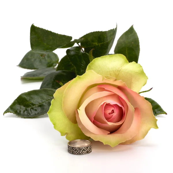 Όμορφο τριαντάφυλλο με το γαμήλιο δαχτυλίδι — Φωτογραφία Αρχείου