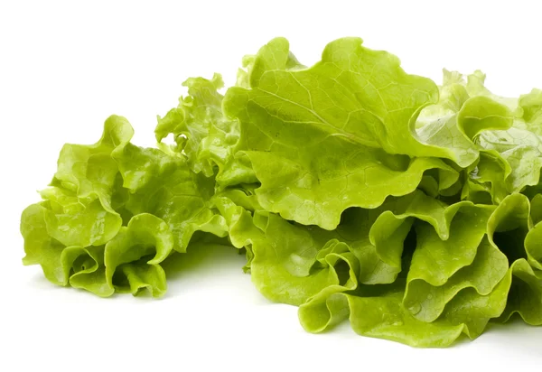 Lettuce salad isolated on white background — Stock Photo, Image