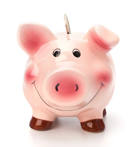 Bedrijfsconcept. gelukkige piggy bank — Stockfoto