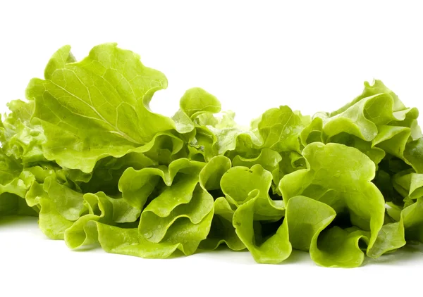 Saláta saláta izolált fehér alapon — Stock Fotó
