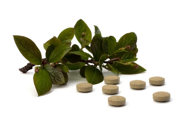 Herbal medicine isolated on white background — Stock Photo, Image