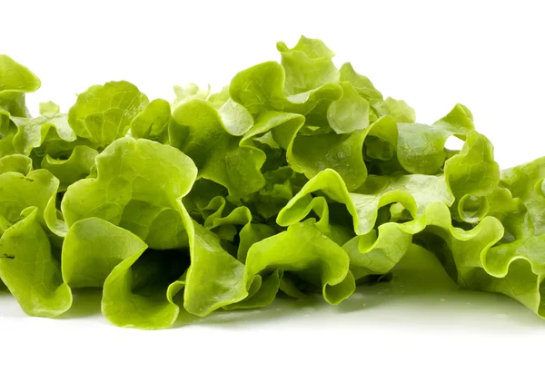 Lettuce salad isolated on white background — Stock Photo, Image