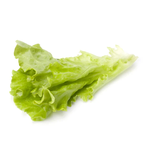 Selada salad diisolasi pada latar belakang putih — Stok Foto
