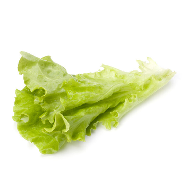 Lettuce salad isolated on white background