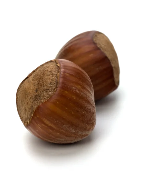 stock image Hazelnuts isolated on white background