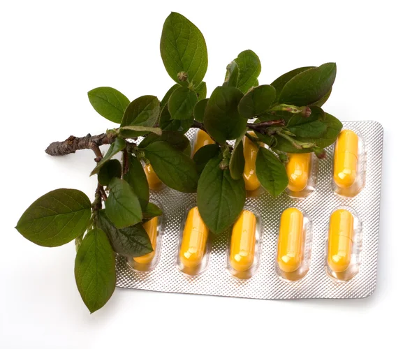 stock image Herbal medicine isolated on white background